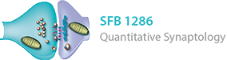 Logo SFB1286