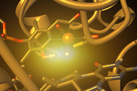 FE hydrogenase research